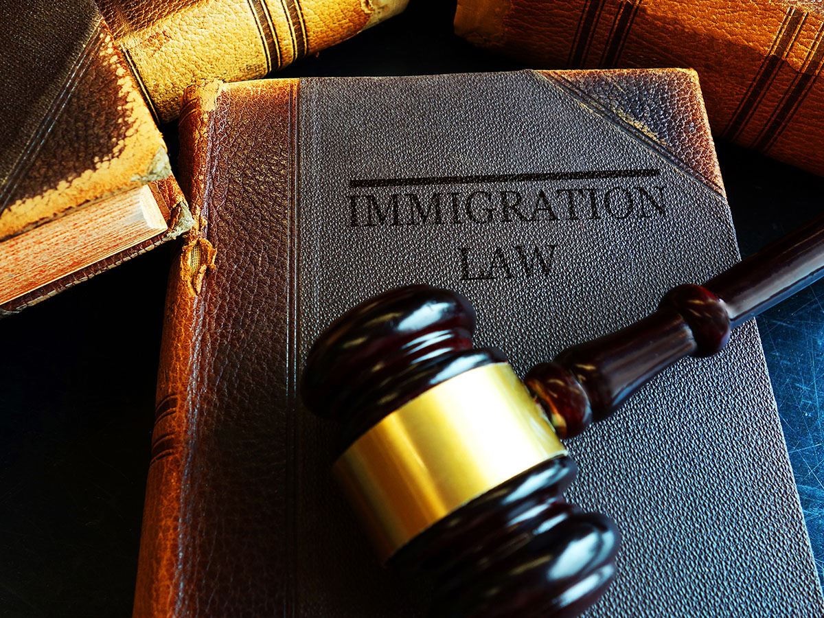 Gavel and Immigration Law Book