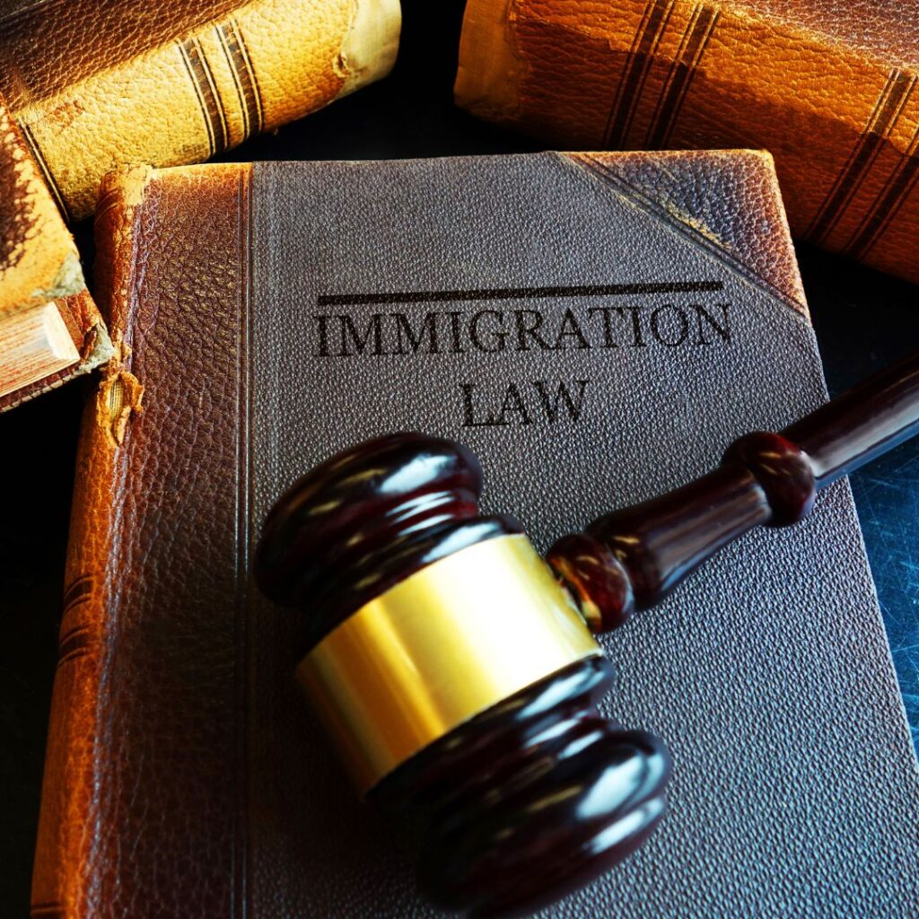 gavel sitting on top of immigration law textbook