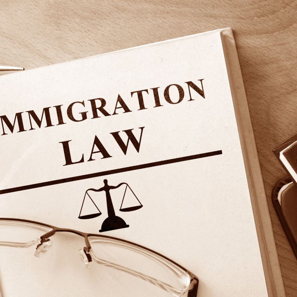 Book that says immigration law